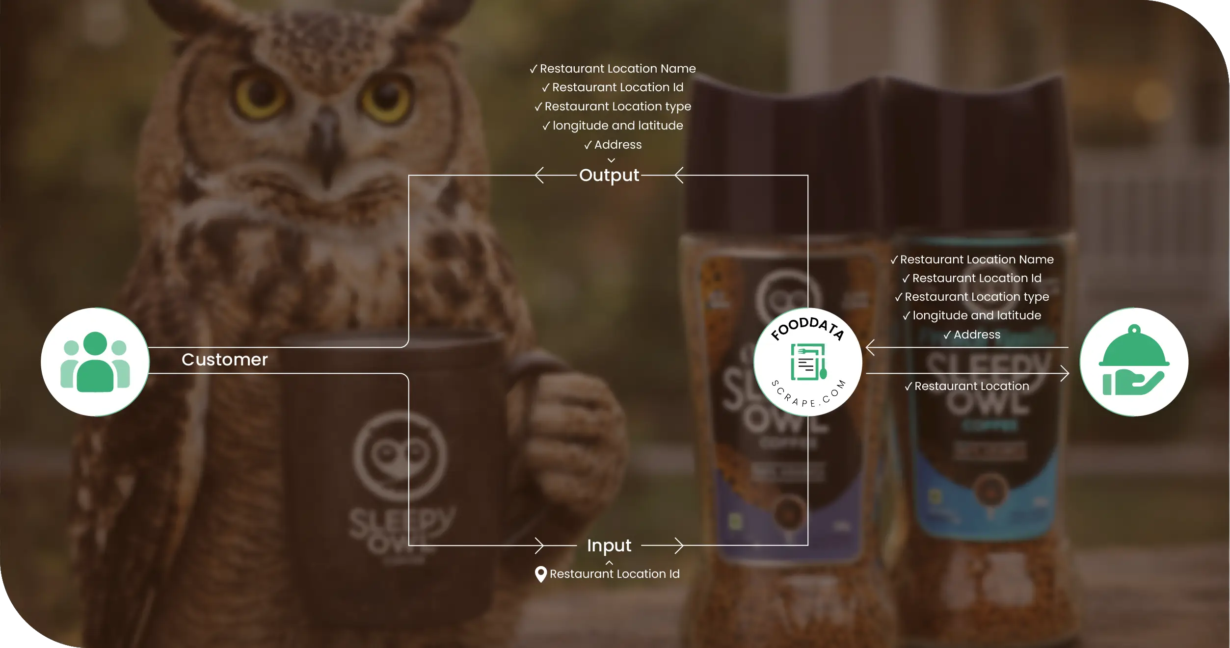 Sleepy Owl Coffee Methodologies